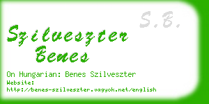 szilveszter benes business card